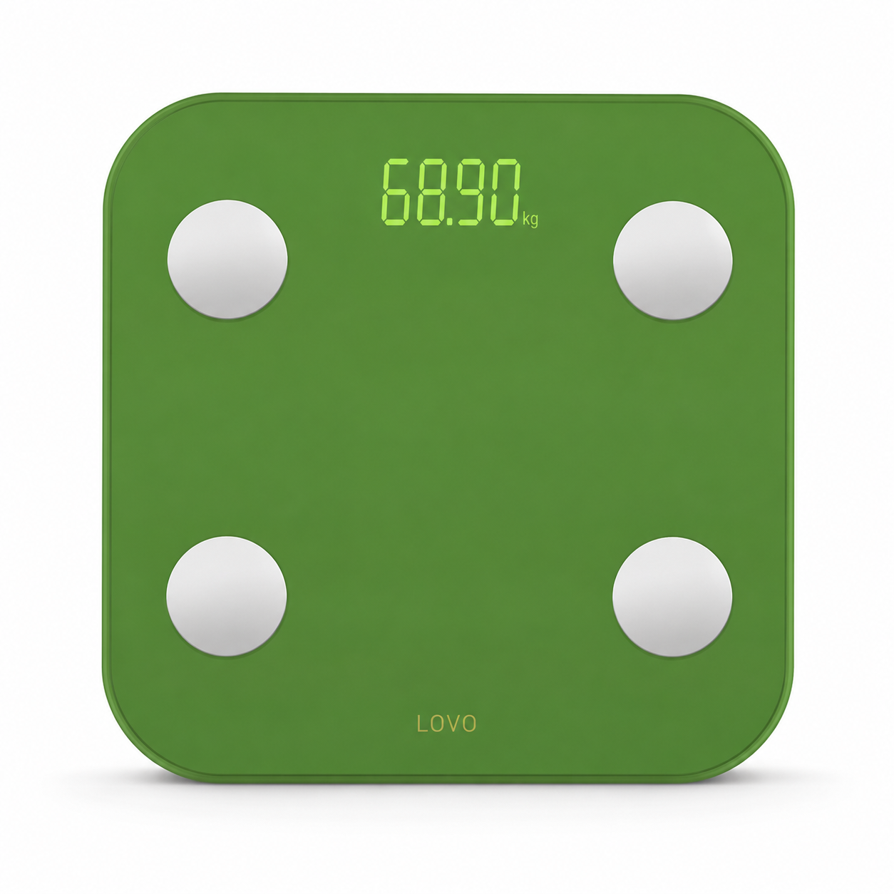 B2699 Bathroom Scale